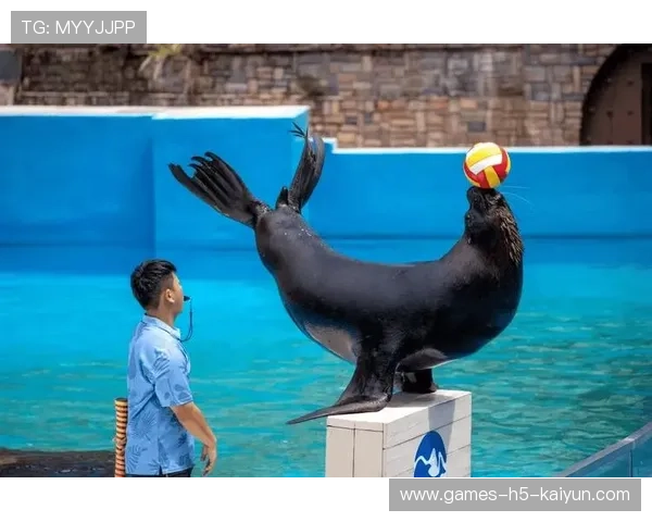 冲浪比赛突然跳出海豚，选手与海豚同框成奇景